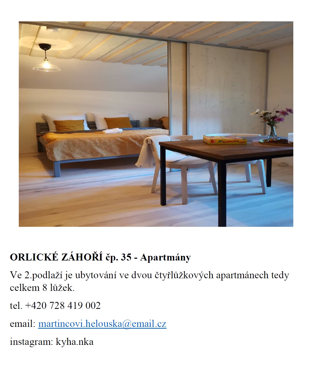 Orlické Záhoří čp. 35 2 apartmány Martincovi