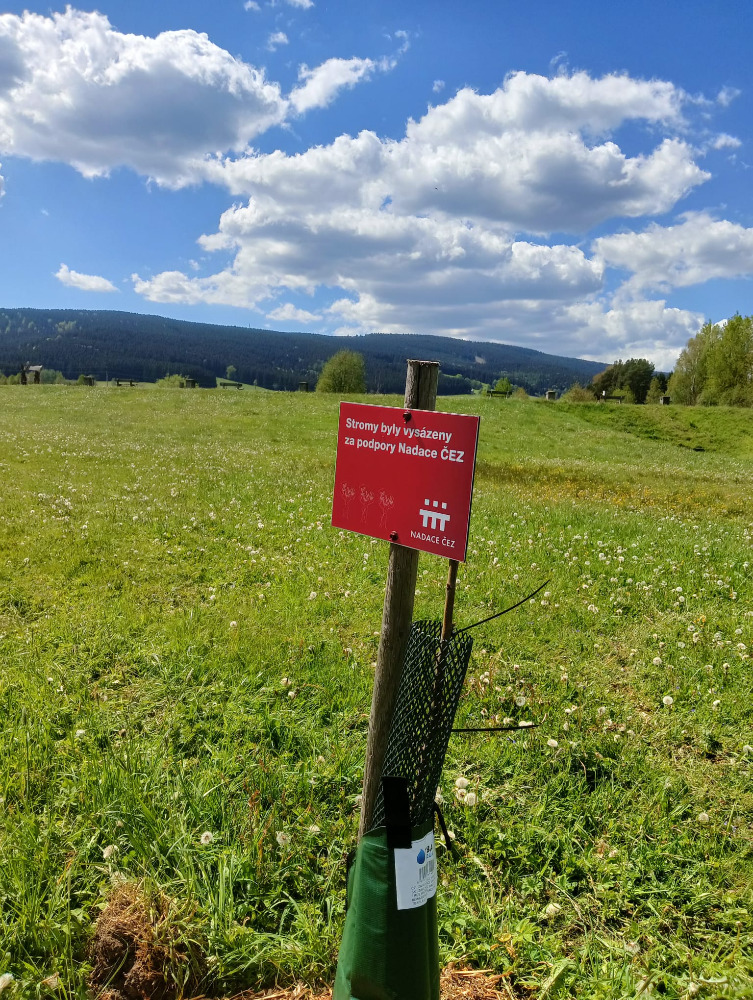 Nepojmenované4