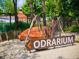 VÝLET ZOO WROCLAW 17.5.2017