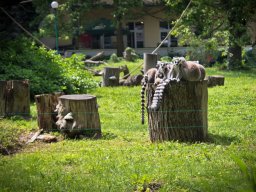 VÝLET ZOO WROCLAW 17.5.2017