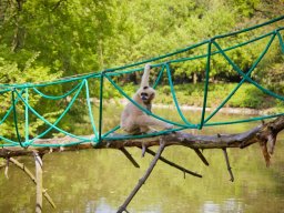 VÝLET ZOO WROCLAW 17.5.2017