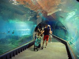 VÝLET ZOO WROCLAW 17.5.2017