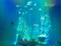 VÝLET ZOO WROCLAW 17.5.2017