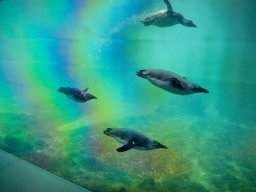 VÝLET ZOO WROCLAW 17.5.2017